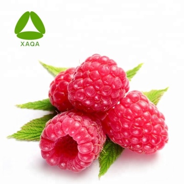 98% Raspberry Ketone Powder Red Raspberry Extract