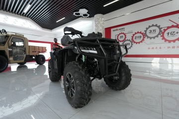 Off road side by side for sale