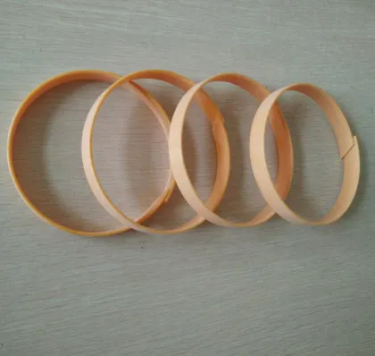 Plastic Nylon Guide Ring Derlin Support Ring