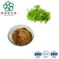 Artemisia Annua Extract 98% Artemisinin
