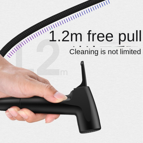 Automatic Switching 2-Function Matte Black Kitchen Sink Taps