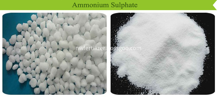 Ammonium sulphate