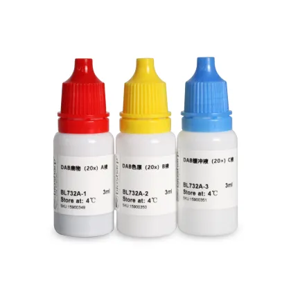 DAB Substrate Kit (20×)