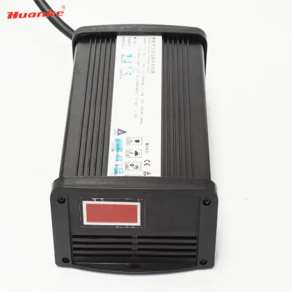 Hot Sale 24V Electric Vehicle Battery Charger