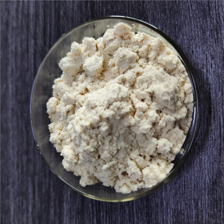 Food Additive Enzyme Nuclease