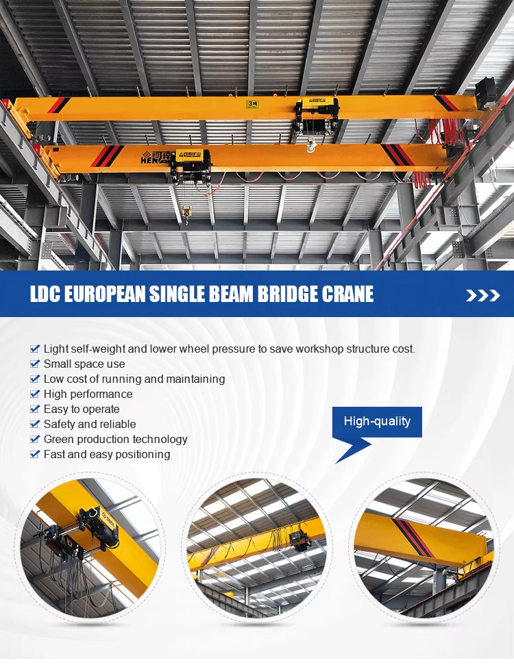 LDC Overhead Crane07