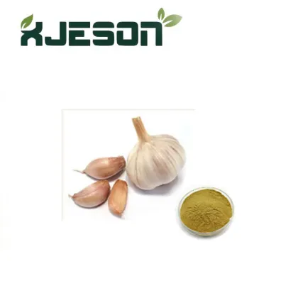 GMP Standard Allicin Garlic Extract