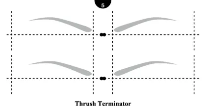 eyebrow template eyebrow shaping tool eyebrow stencils
