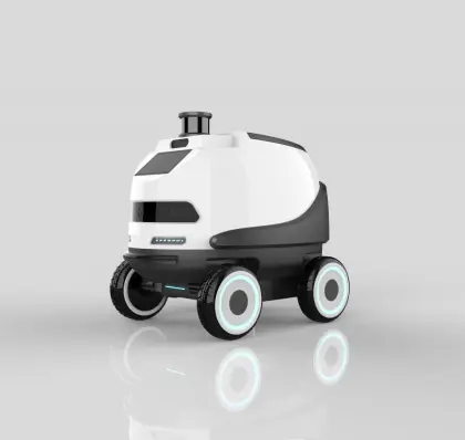 Service Robot