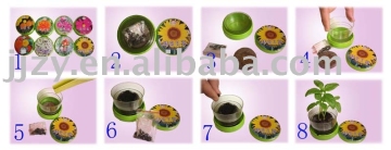 mini garden-flower