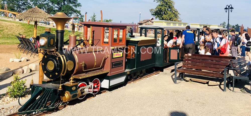 Rail Trains brown colour