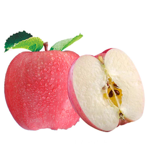 red qinguan apples fresh qinguan price chinese China red qinguan apple