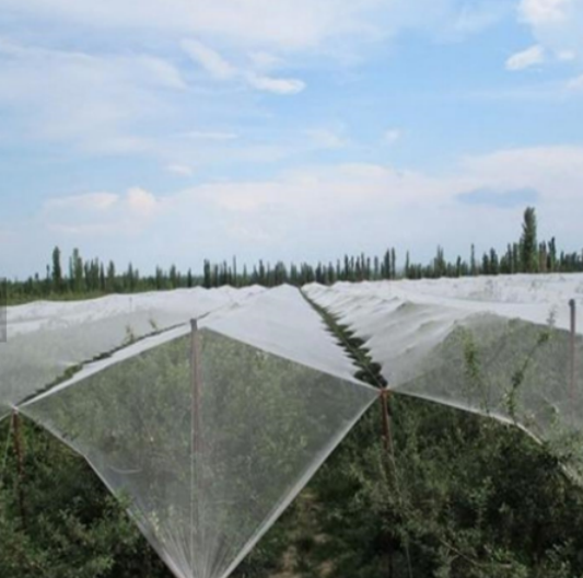 Malla de plástico resistente a los rayos UV Anti Bird Net