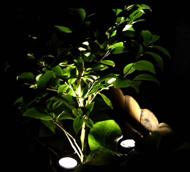 White Spotlight White Spotlight