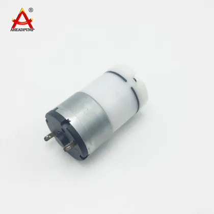 Diaphragm Pump Micro Atomizer Air Pump for Beauty Sprayer