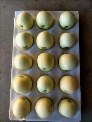 Fresh golden cream fuji apples