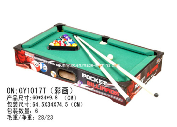 Color Painting Snooker Table (1017T)