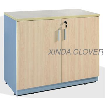 Swing doors cabinet,stroages