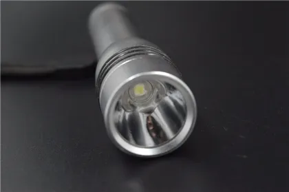 Deliver timely hot selling torch flashlight waterproof flashlight