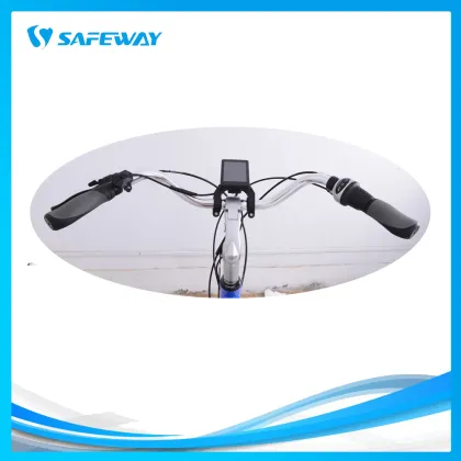 Panasonic lithium battery city electric bike