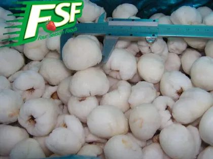 Frozen Lychees Meats