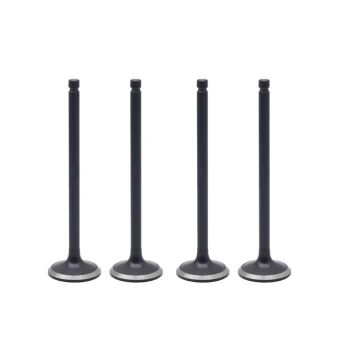 0K30E-12-111 Intake Valve for Engine