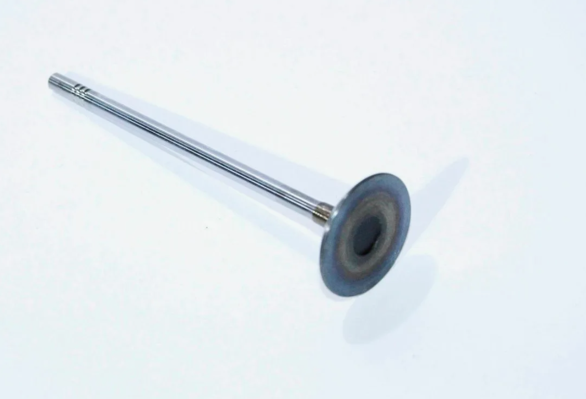 55557741 Intake Valve for Engine