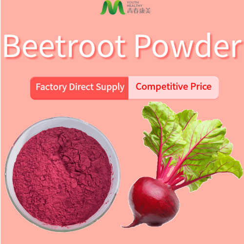 Hericium Erinaceus Extract Natural Raw Dried Beetroot Powder Manufactory