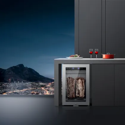 Beef Aged Salami Cooler Cabinet Dry Aging Refrigerator