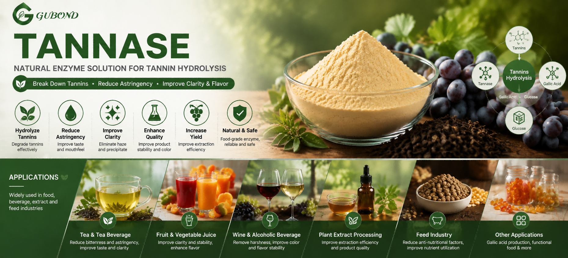 Tannase
