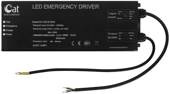 100W LED Emergency Driver