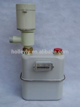 Industrial Prepaid Gas Meter Zg 10 (S)