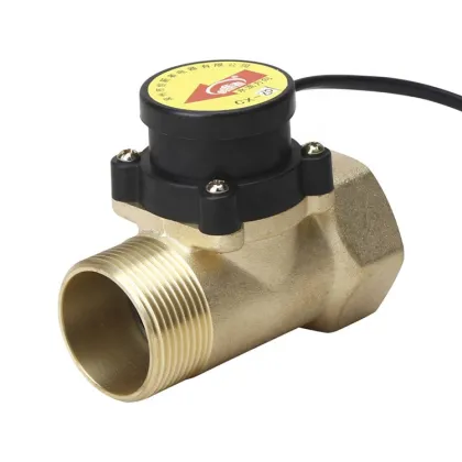 Electronic Magnetic Pipe Flow Switch Pump Small Flow Switch Price