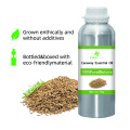 Aceite esencial 100% puro y natural Aceil esencial de alta calidad Aceite esencial al por mayor de Bluk para compradores globales El mejor precio