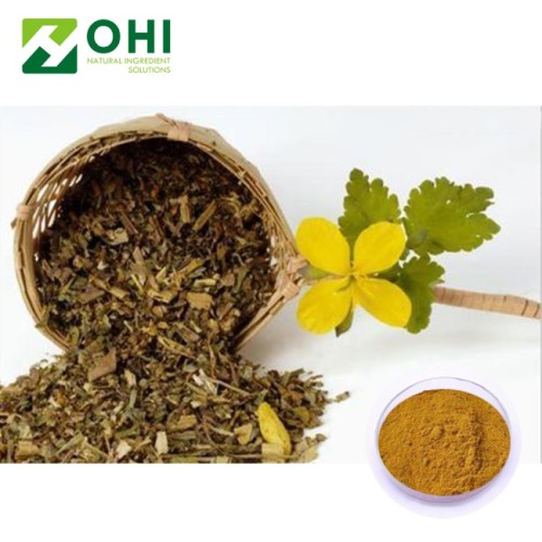 Estratto di Chelidonium Majus / Chelerythrine Celandine Extract