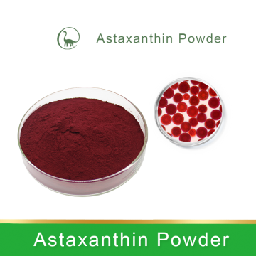 Haematococcus pluvialis astaxanthine Natural Powder et Huile