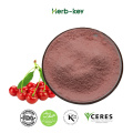 Cherry extract powder contains 17% vitamin C