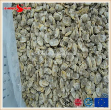 IQF cooked baby clam meat frozen