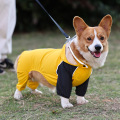 dog raincoat with legs online 2022