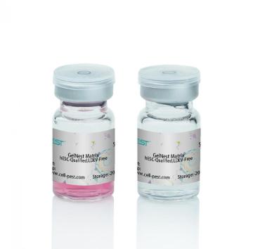 GelNest™ Matrix, high concentration, without Phenol Red
