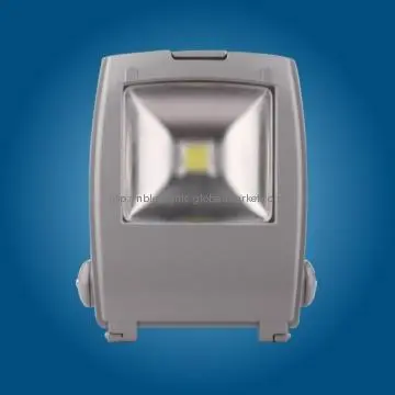 50W LED Flood Light Siliver body