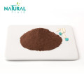 Pygeum Africanum Extract Powder