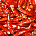 Peperoncino di peperoncino dolce intero disidratato all'ingrosso