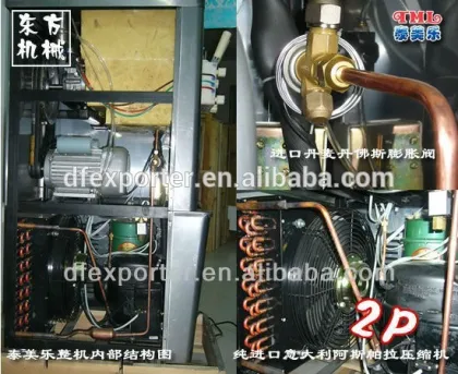 Hot selling fruit ice cream maker/mini ice cream maker/soft ice cream maker