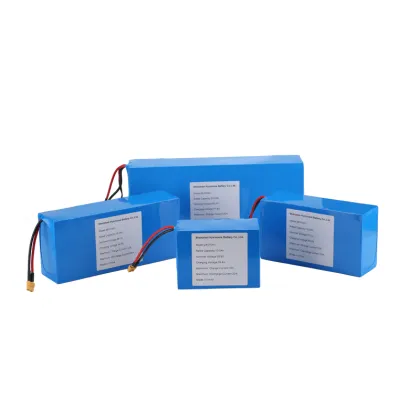 36V Lithium Battery for Inokim Electric Bike with Controller and Heater