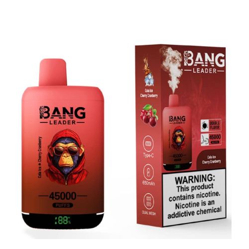 Bang Leader 45000 Puffs Rechargeable Vape Device