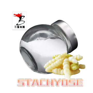 Bahan prebiotik stachyose untuk kesihatan usus