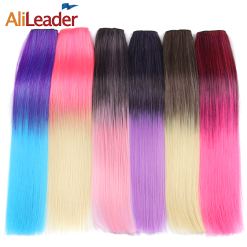 AliLeader 22" 120G Hot Sale Factory Price Clip Hair Extension Ombre Hairpiece Synthetic Clip In One Piece  Hair Extension