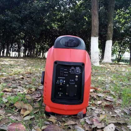 1000W rated power EPA CARB CSA CE GS PSE certification gasoline inverter generator