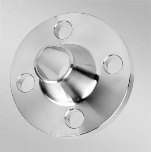 Stainless Steel Welded Pipe Fitting WN Flange